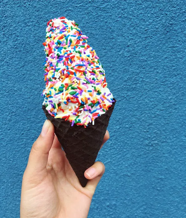 Cones Artisanal Ice Cream Picture 7