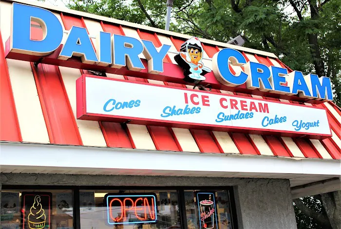 Dairy Cream Ice Cream Picture 3