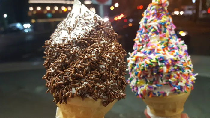 Dairy Cream Ice Cream Picture 7