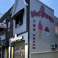 Wadi Scoops ico