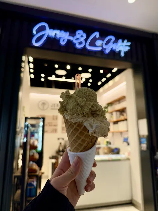Jersey & Co. Gelato Picture 5