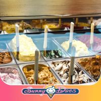 Sunny Daes Ice Cream ico