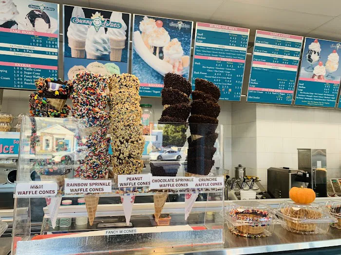 Sunny Daes Ice Cream Picture 6