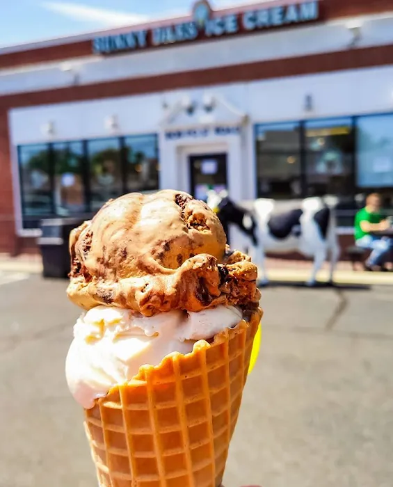 Sunny Daes Ice Cream Picture 10
