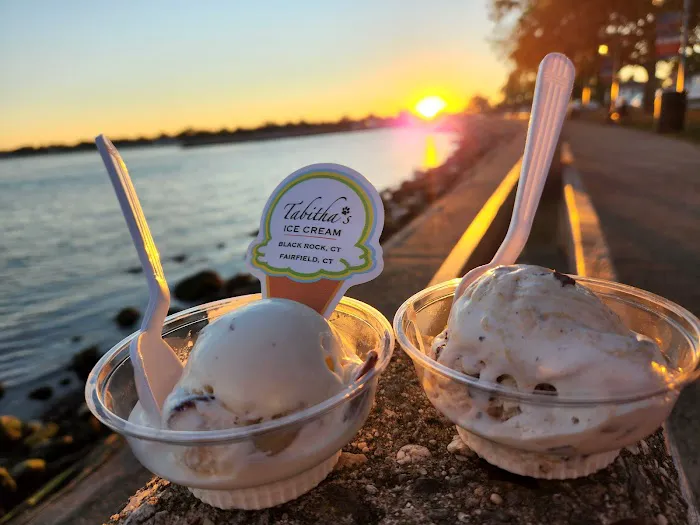 Tabitha's Ice Cream LLC Picture 7