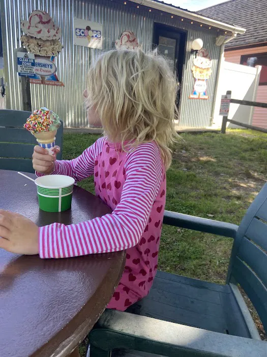 Scoops Ice Cream Picture 8