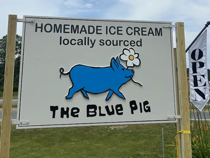 The Blue Pig Picture 3