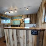 The Blue Pig