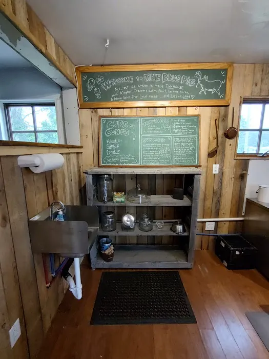 The Blue Pig Picture 7