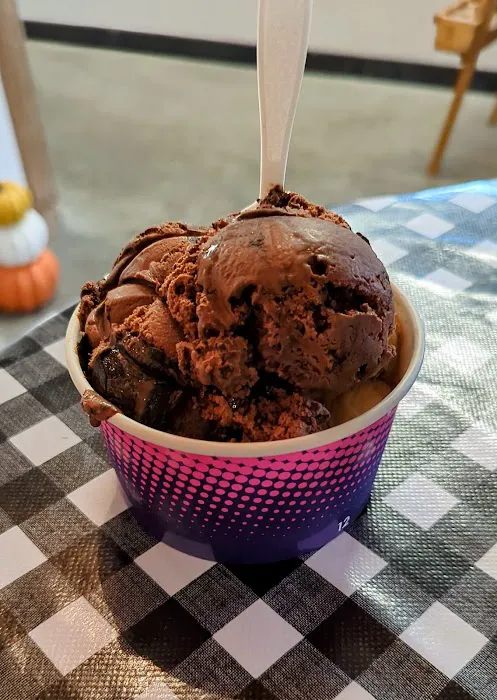 Village Creamery Picture 7