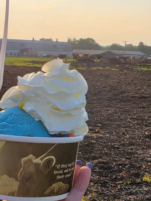 Hadley Scoop at the Silos ice cream farm Picture 4