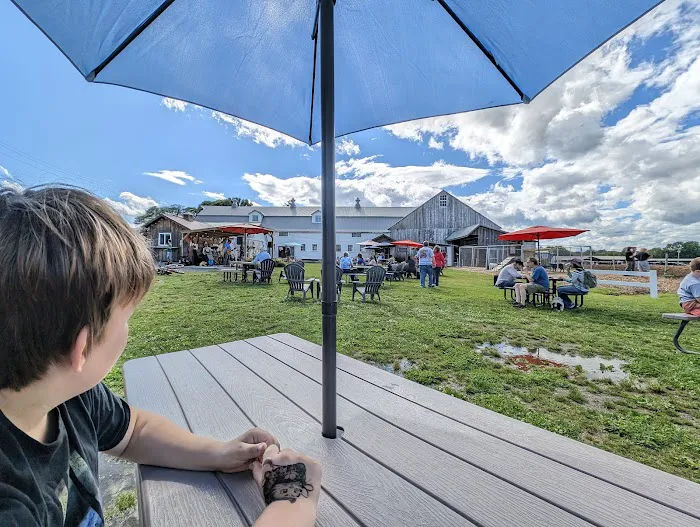 Hadley Scoop at the Silos ice cream farm Picture 6