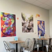 Frisky Cow Gelato ico