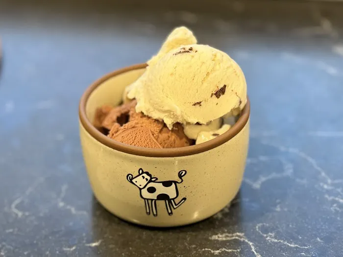 Frisky Cow Gelato Picture 9