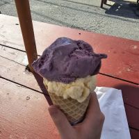 King Phillip Dairy Bar ico