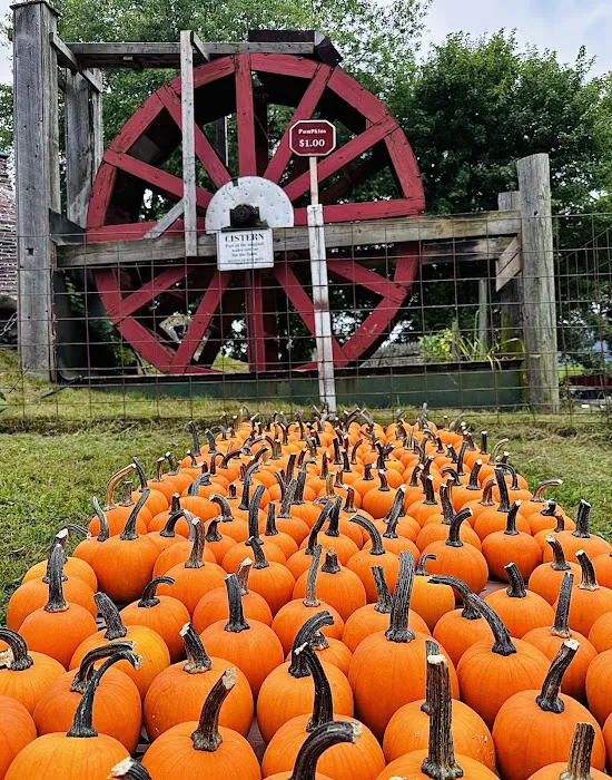 McCray's Country Creamery Picture 4