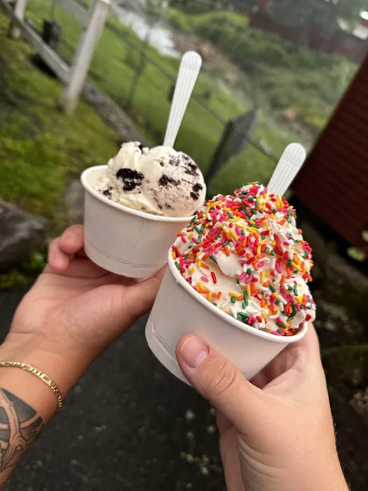 Sheldon's Ice Cream Picture 3