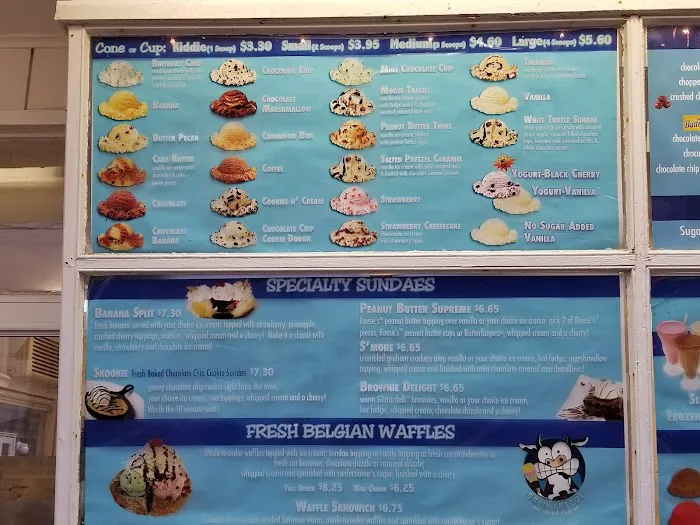 Brain Freeze Ice Cream Parlor Picture 7