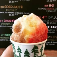 LBI Shave Ice Ohana Hau ico