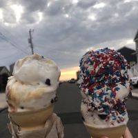 Dairy King ico