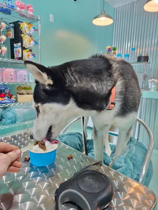Salty Paws Doggie Ice Cream Parlor Picture 1