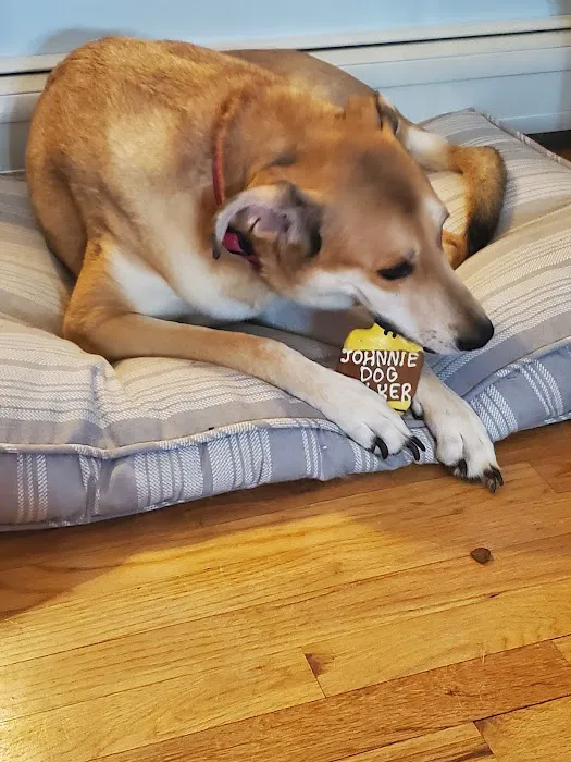 Salty Paws Doggie Ice Cream Parlor Picture 5