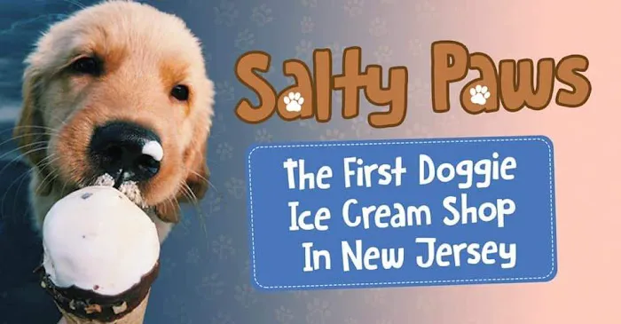 Salty Paws Doggie Ice Cream Parlor Picture 4
