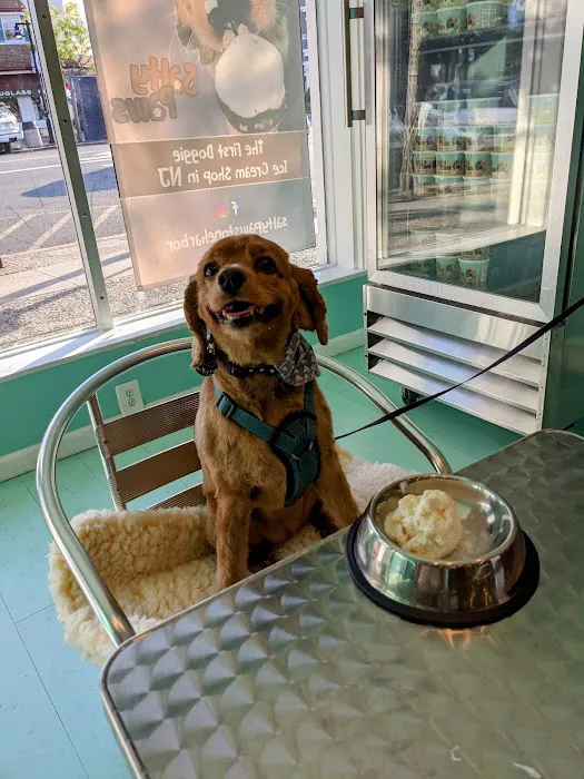 Salty Paws Doggie Ice Cream Parlor Picture 6