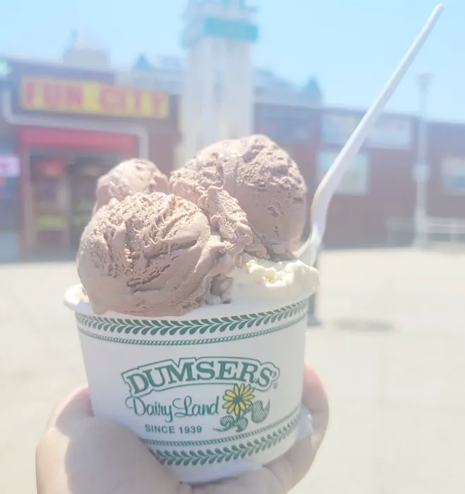 Dumser's Dairyland Picture 3