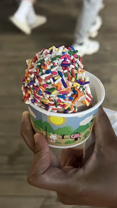 Dumser's Dairyland Picture 2