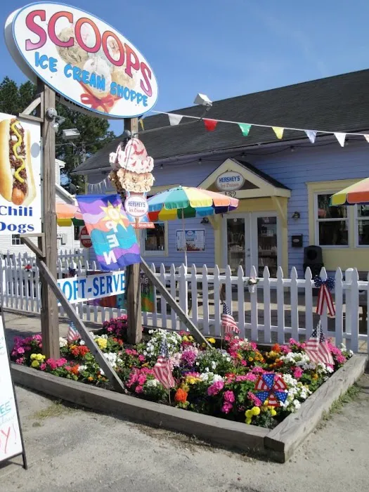 Scoops Ice Cream Shop Picture 7
