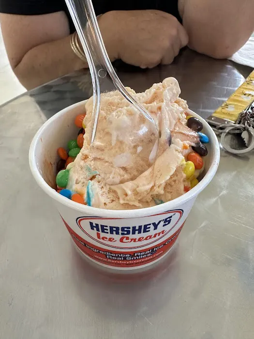 Scoops Ice Cream Shop Picture 2