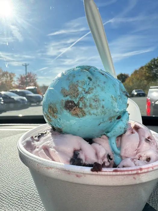 Rich Farm Ice Cream Picture 2