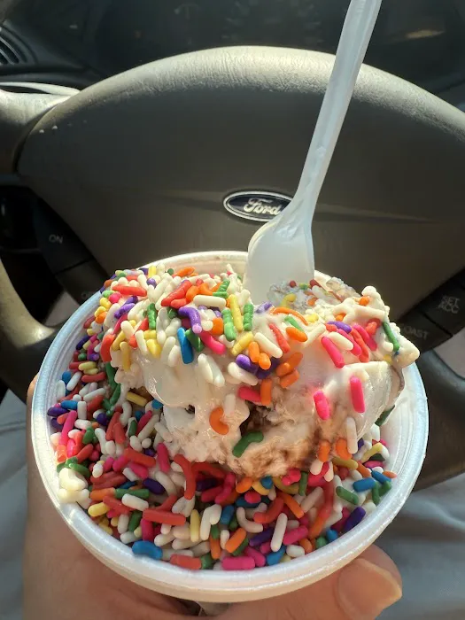 Rich Farm Ice Cream Picture 4