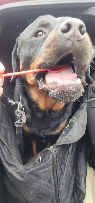 Dairy Queen (Treat) Picture 1