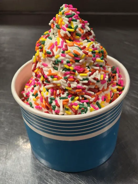 BILLS CAROUSEL ICE CREAM &YOGURT Picture 6