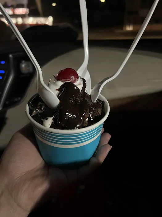 BILLS CAROUSEL ICE CREAM &YOGURT Picture 9