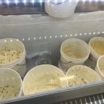 Wentworth Homemade Ice Cream