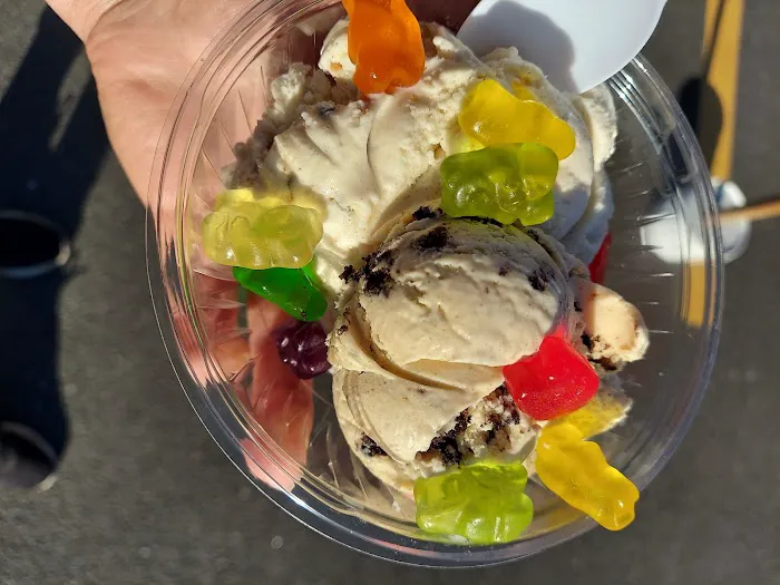 Wentworth Homemade Ice Cream Picture 8