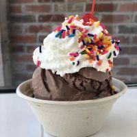 The Scoop Girl ico