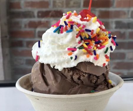 The Scoop Girl