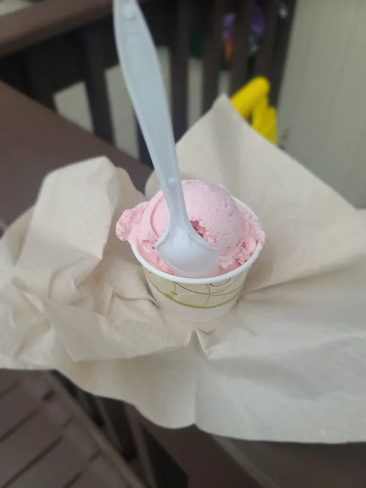 Rich's Ice Cream II Picture 7
