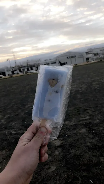 Betty's Icebox Picture 10