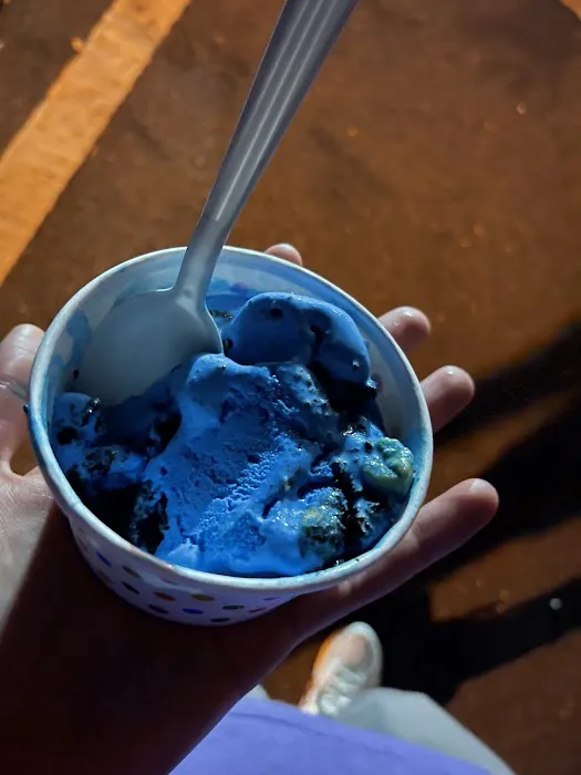 Ice Cream Plus Picture 6
