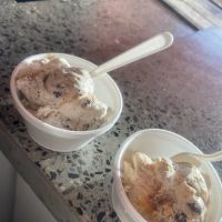 Salty’s Ice Cream Parlor ico