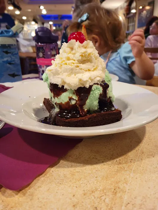 The Music Man Singing Ice Cream Shoppe Picture 7