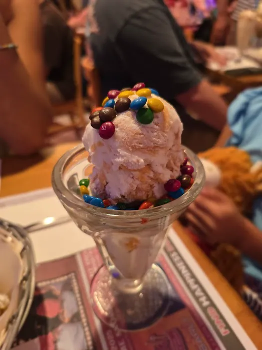 The Music Man Singing Ice Cream Shoppe Picture 2