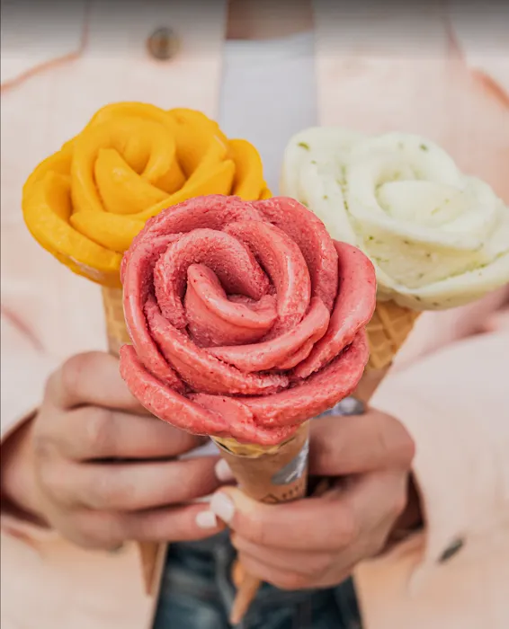 Amorino Gelato Picture 7