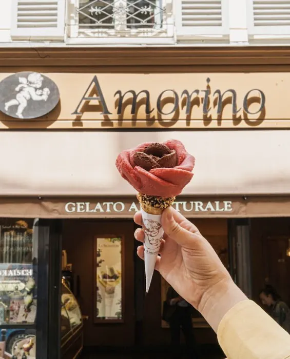 Amorino Gelato Picture 2