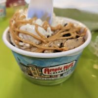 Ample Hills Creamery ico